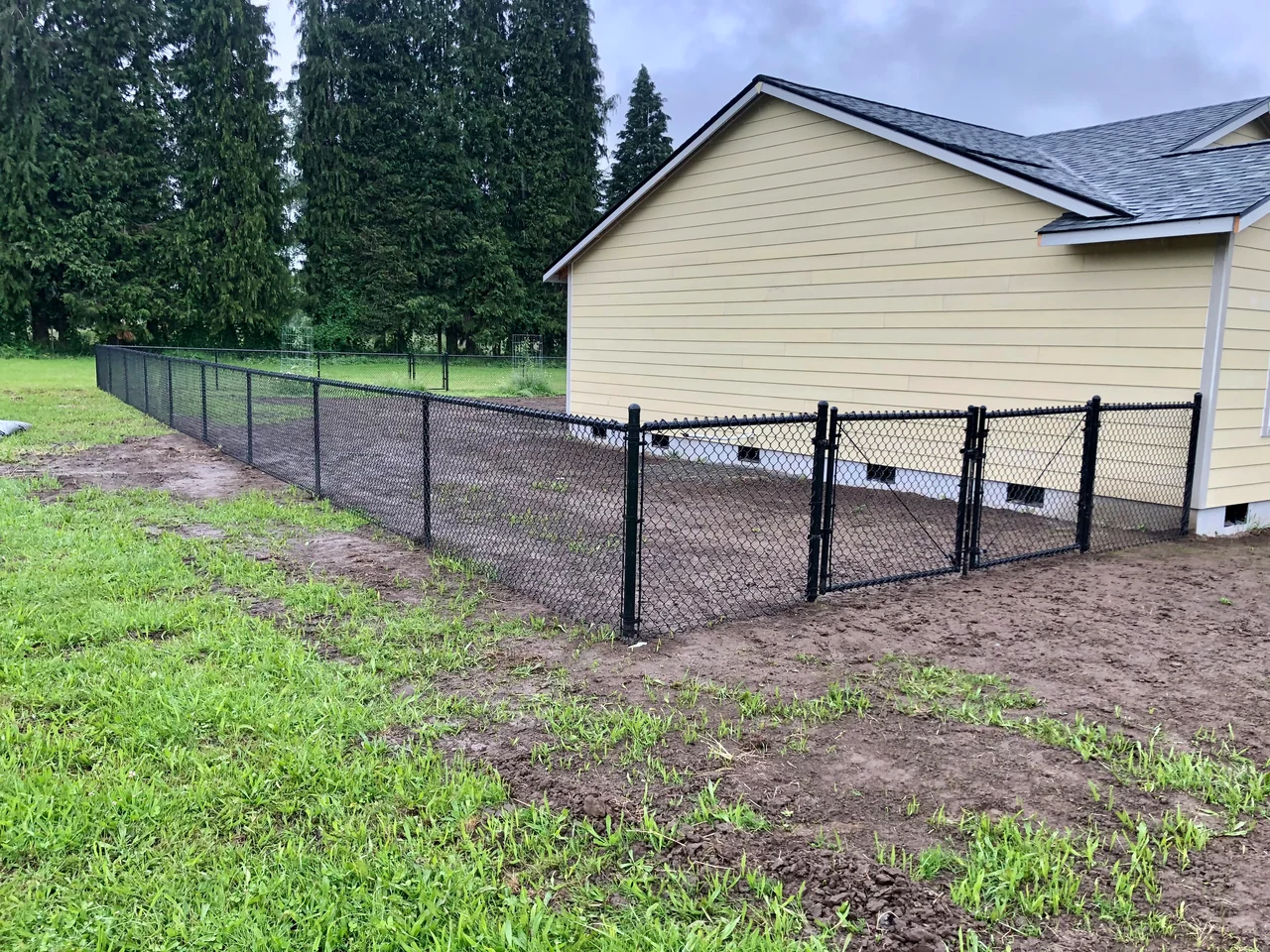 Black chain link fencing and a matching walk gate enclose the side yard of a yellow house beside evergreen trees.