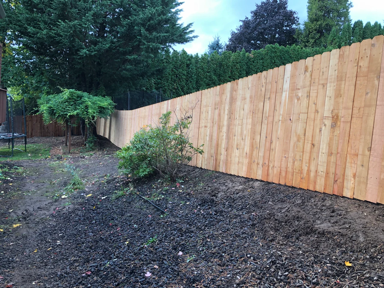 A long wood privacy fence with vertical boards follows the edge of a backyard beneath tall evergreens and hedges.