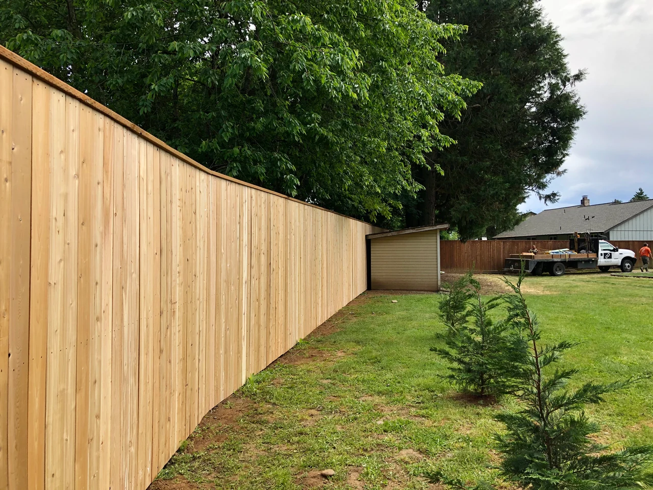 A capped wood privacy fence runs along a green backyard toward a small shed, with mature trees overhead.