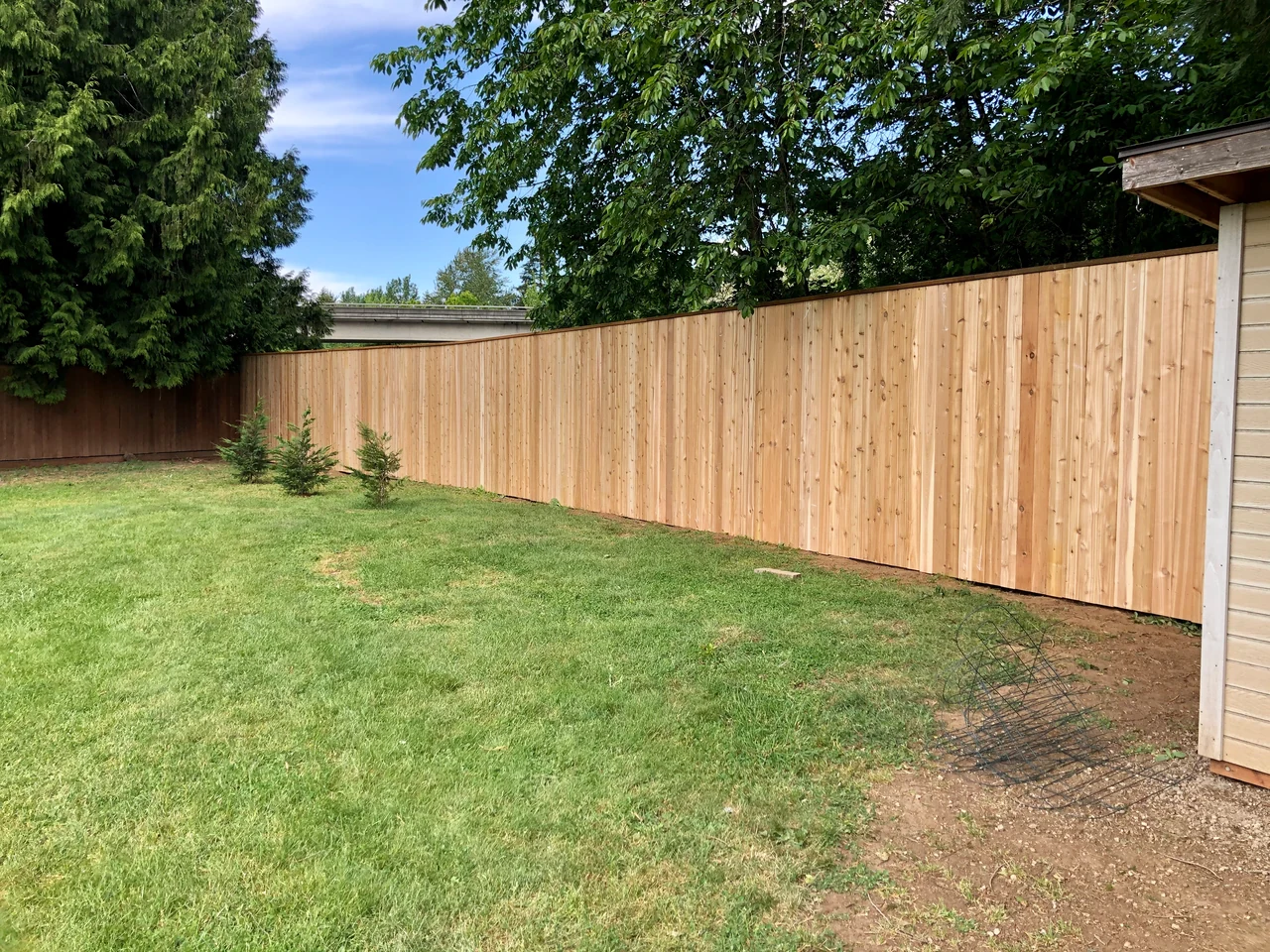 A solid wood privacy fence with a top cap borders a lawn beneath leafy branches and mature evergreen trees.